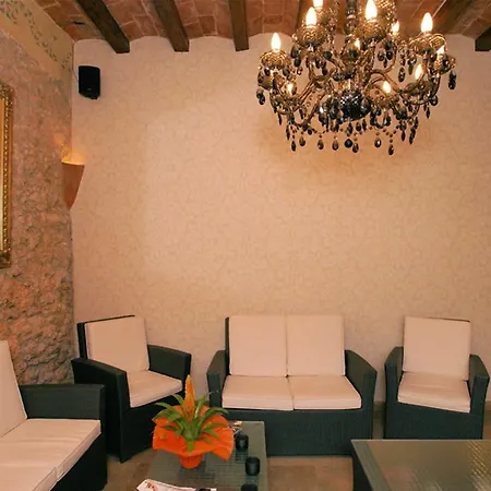 Parrots Σίτζες