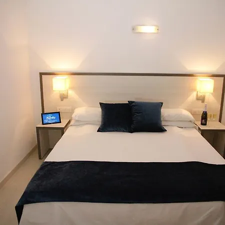 Parrots Σίτζες