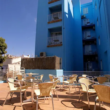 Parrots Sitges