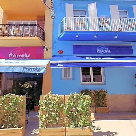 Parrots Sitges