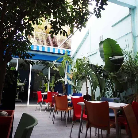 Parrots 3* Sitges