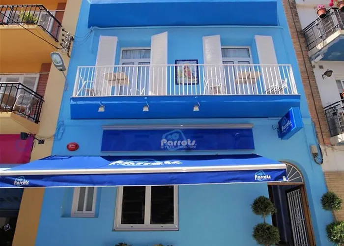 Отель Parrots