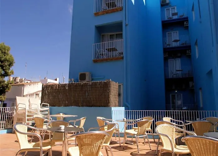 Parrots Sitges