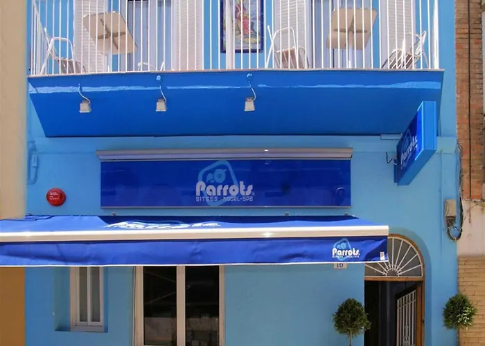 Parrots Sitges