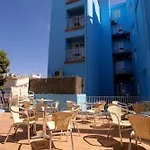 Parrots Sitges