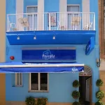 Parrots Sitges