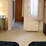 Parrots 3*