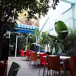 Parrots 3* Sitges