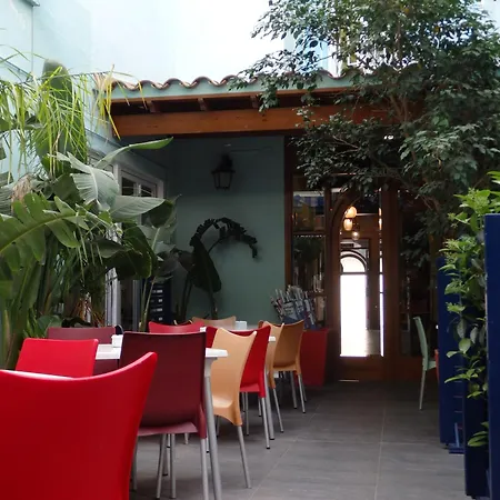 Otel Parrots 3*
