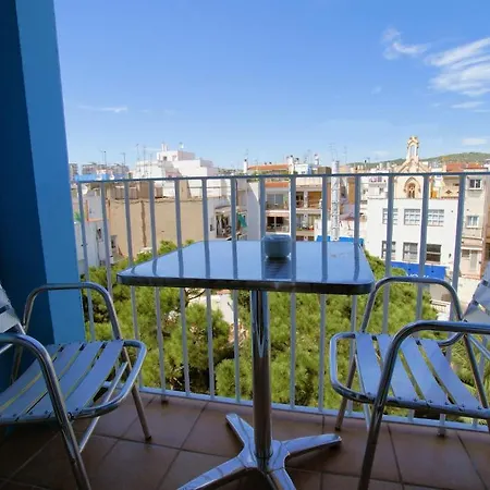 Parrots Otel