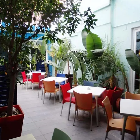 Otel Parrots 3*