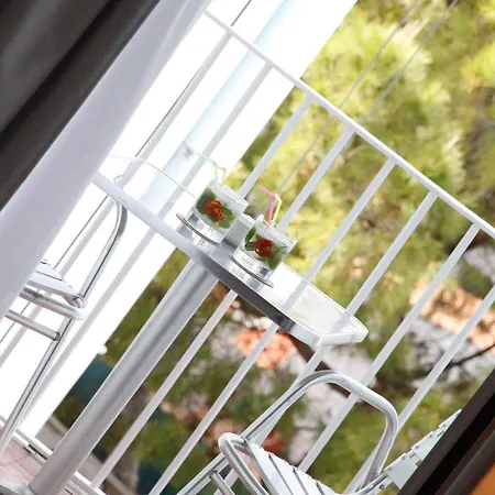 Parrots Otel 3*